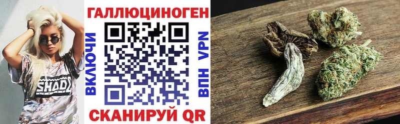 Купить закладки  Болхов  Псилоцибиновые грибы Cubensis 